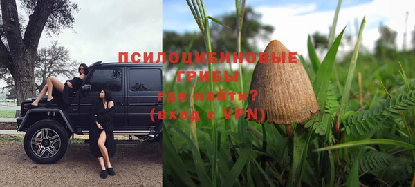 не бодяженный Верхний Тагил