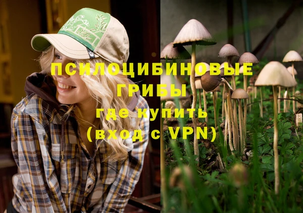 МДПВ Дмитров