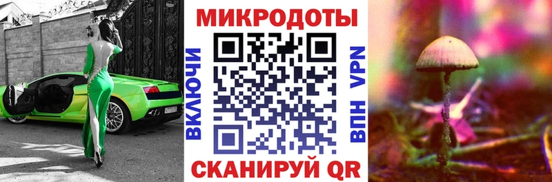 купить закладку  kraken сайт  Галлюциногенные грибы GOLDEN TEACHER  Гусь-Хрустальный 